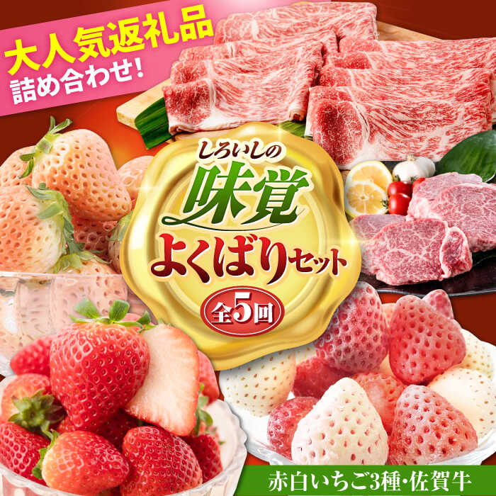 【先行予約 2027年2月〜発送】【5回定期便】しろいしの味覚よくばりセット（赤白いちご3種と佐賀牛）/ いちご苺 果物 フルーツ 黒毛和牛 A4 A5 ブランド牛 佐賀県 白石町 白石 [IZZ026]