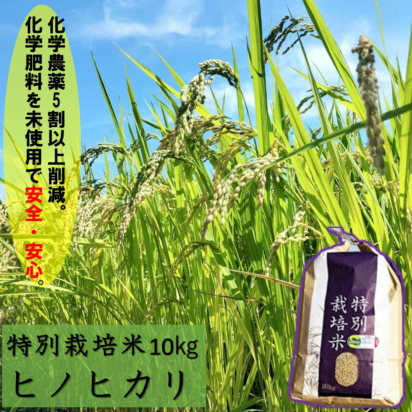 【ふるさと納税】O-51 佐賀県産　特別栽培米　ヒノヒカリ10kg...