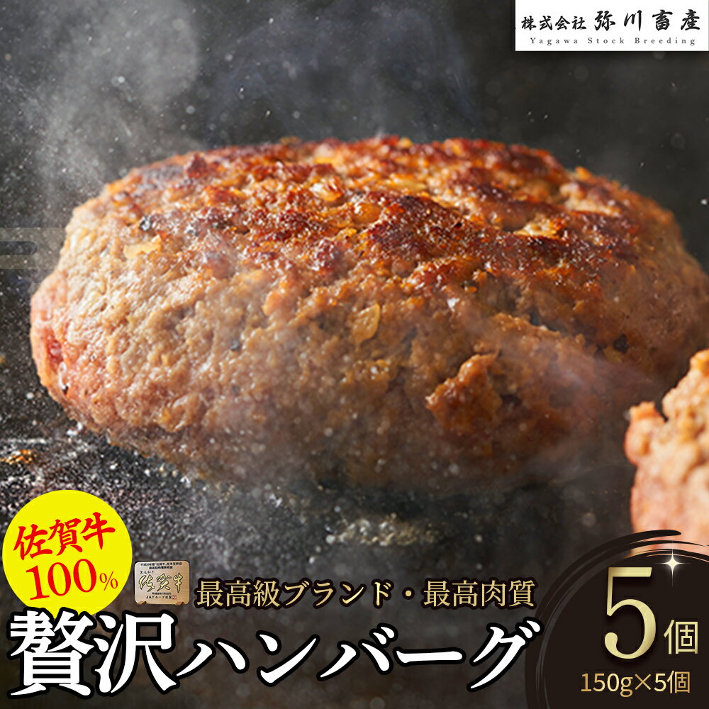 佐賀牛100%の贅沢ハンバーグ 150g×5個 [2025年12月1日までの入金で年内発送] 手造り 佐賀牛100% 国産牛 和牛 ブランド牛 牛肉 肉 高級 人気 おすすめ 佐賀県 太良町