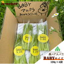【ふるさと納税】L-147 BABYサイズ 森のアスパラ 120g×4袋