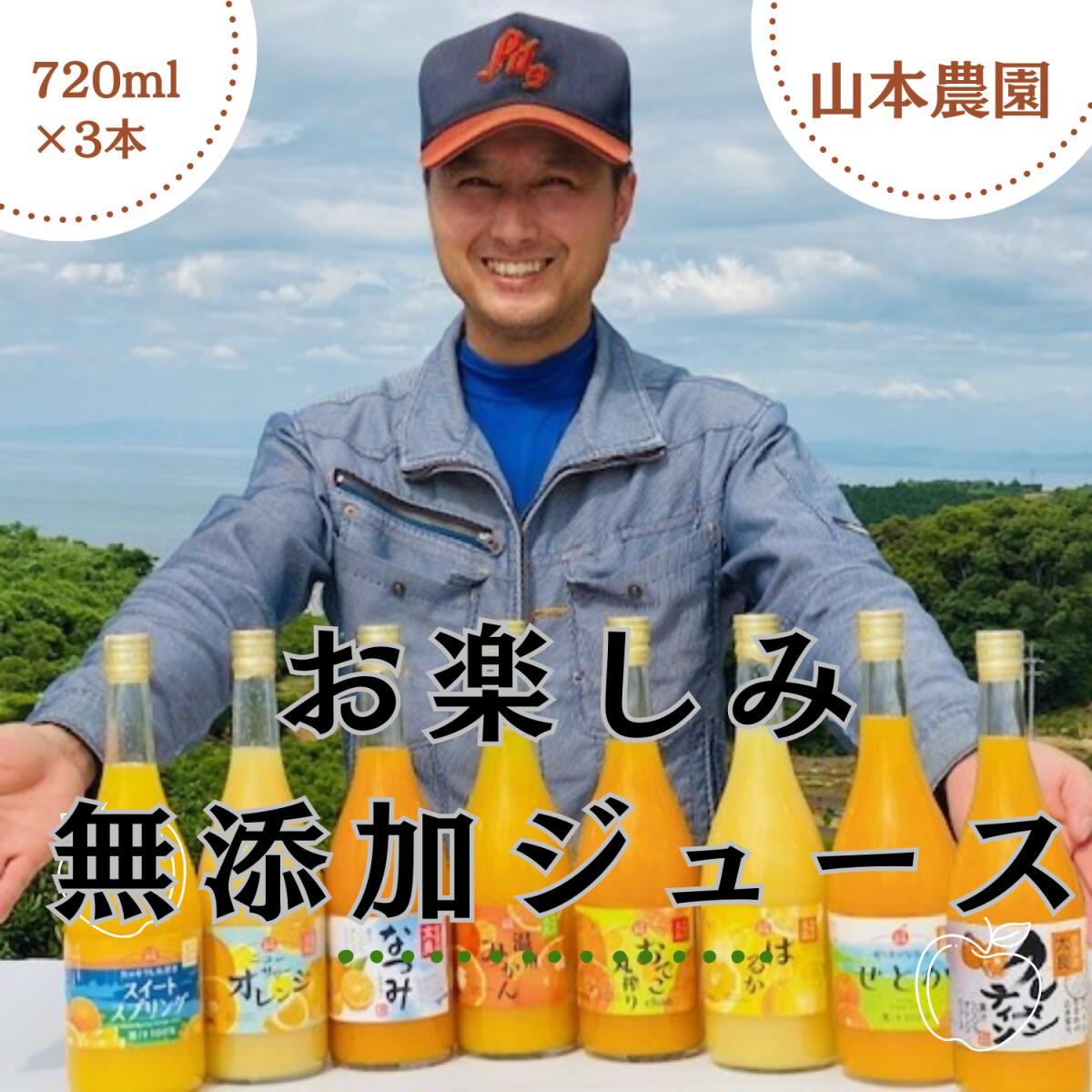 山本農園のお楽しみ無添加ジュース 3本セット オレンジジュース おやつ ドリンク
