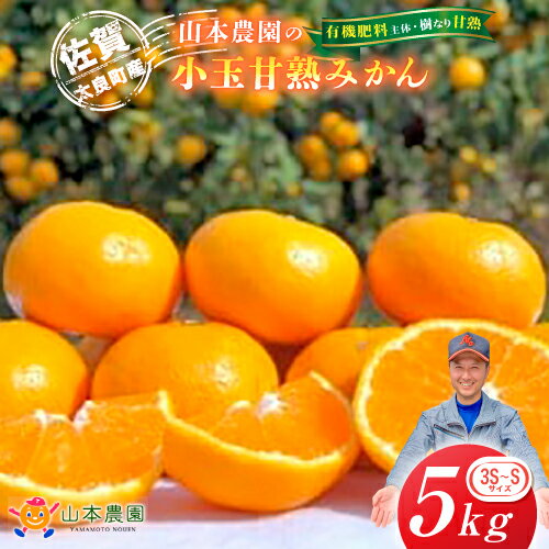山本農園の小玉甘熟みかん 5kg みかん ミカン 蜜柑 日南 上野 太幸 佐世保早生 石地 温州みかん 完熟みかん 甘熟みかん 国産 佐賀県産 太良町 こだわり 産地直送 詰め合わせ 小玉 有機肥料 期間限定