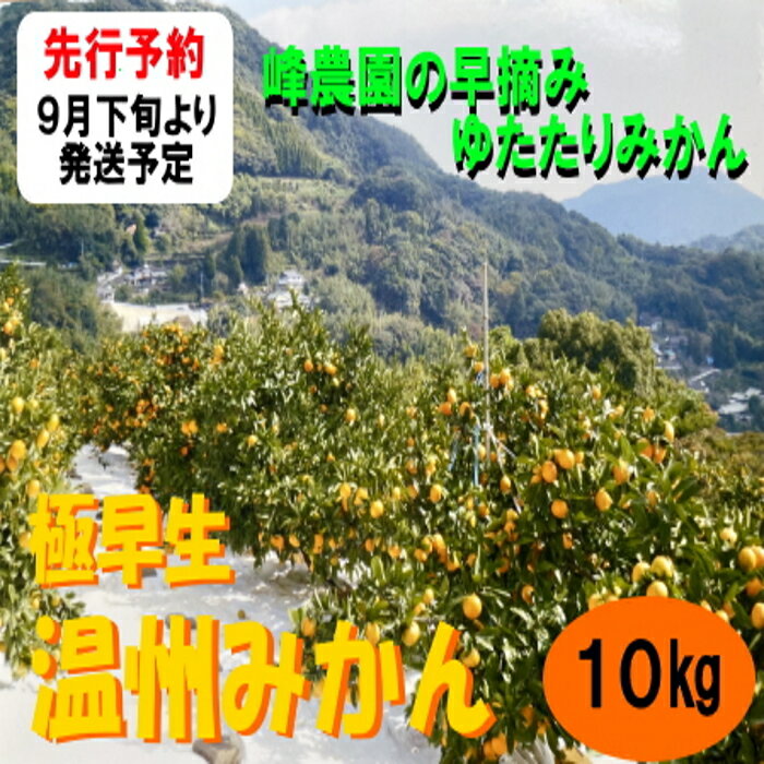 35位! 口コミ数「0件」評価「0」【先行発売】NB-13 峰農園の早摘みゆたたりみかん10kg　太良町　返礼品　太良みかん　佐賀みかん　極早生みかん　今季最初　甘い　産地直送･･･ 