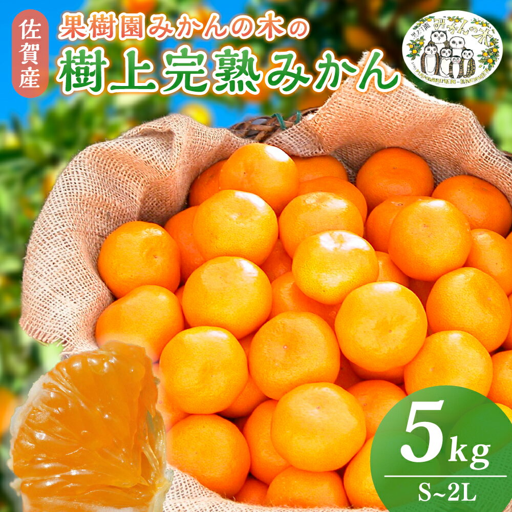 果樹園みかんの木の樹上甘熟みかん5kg みかん ミカン 蜜柑 温州みかん 完熟みかん 甘熟 国産 こだわり 贈答品 産地直送 詰め合わせ 佐賀県 太良町 N22
