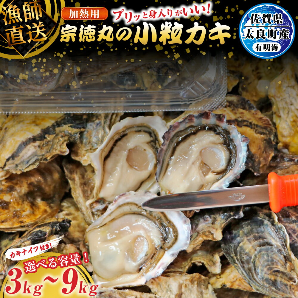 宗徳丸の小粒カキ 3kg、6kg、9kg 牡蠣 カキ かき 殻付き 加熱用牡蠣 佐賀県 太良町のサムネイル