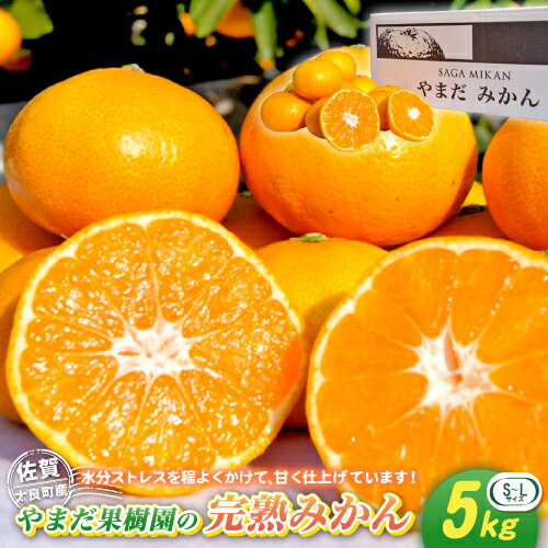 やまだ果樹園の完熟みかん 5kg