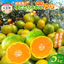 【ふるさと納税】峰農園のゆたたりみかん【ゆら】小玉 5kg 極早生温州みかん 早生温州みかん さがみかん 太良みかん 温州みかん ミカン 蜜柑 フルーツ 果物 ミネラル豊富 有明海の潮風 贈答用 お中元 お歳暮 産地直送 月の引力が見える町 太良町 ふるさと納税 返礼品 LB5(4)