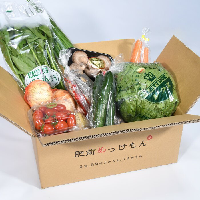 L-37 鮮度抜群！肥前の国のお野菜詰め合わせセット（8～10品目）