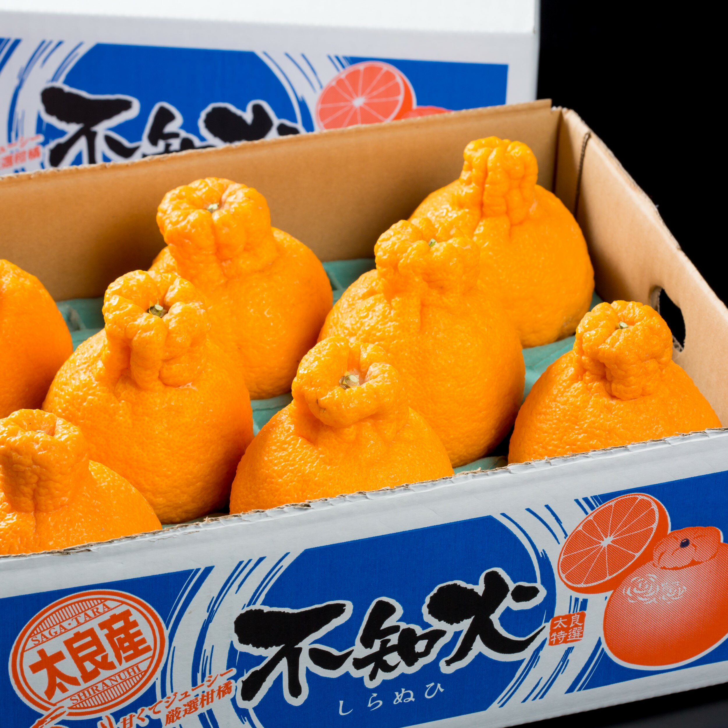 多良岳の恵みで育てたタラデコ (不知火)3kg [2026年3月上旬〜5月下旬発送予定] M70x1