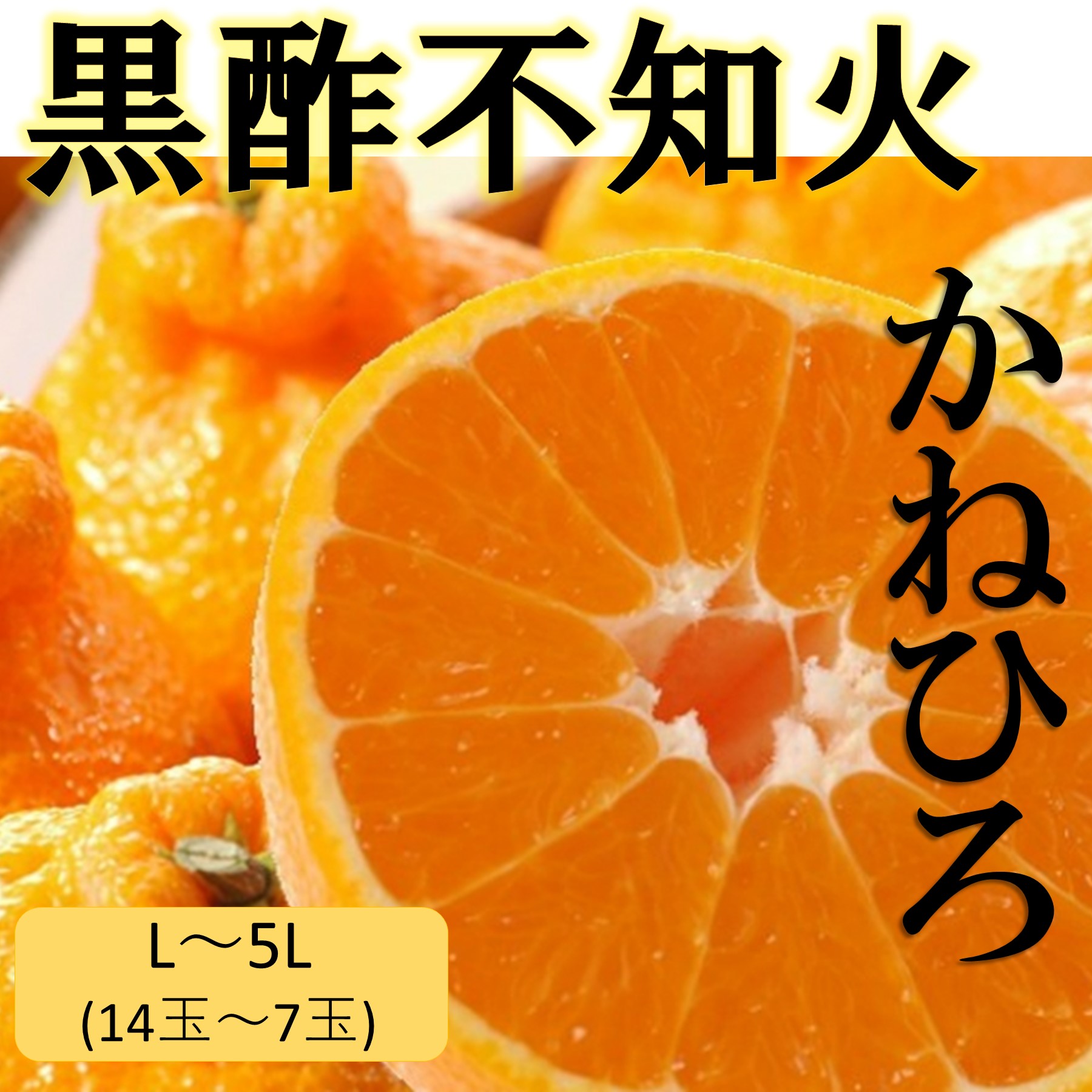 【ふるさと納税】【令和6年3月下旬頃～発送】NB-23 かねひろの黒酢不知火