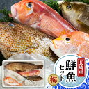 プロの目利きで選別 長崎 魚 3～5種 詰め合わせ 刺身 焼魚 ギフト セット お取り寄せ グルメ 魚介 鮮魚 海鮮 海の幸（梅） | 長崎県 九州 楽天ふるさと 納税 返礼品 支援 食べ物 さかな 魚介類 お刺身 さしみ 刺し身 取り寄せ