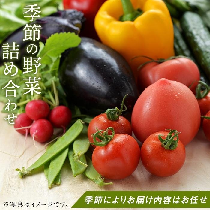 5位! 口コミ数「0件」評価「0」長崎県産　季節の野菜BOX【産直松吉】 | 野菜 詰め合わせ 詰合せ 長崎 長崎県 九州 旬 送料無料 果物 フルーツ お取り寄せ