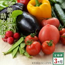 22位! 口コミ数「0件」評価「0」【3回定期便】長崎県産　季節の野菜BOX【産直松吉】 | 長崎 長崎県 野菜 詰め合わせ 詰合せ 九州 定期便 おまかせ フルーツ 果物 新･･･ 