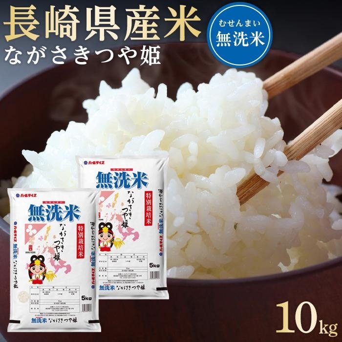 【ふるさと納税】長崎県産米 令和4年産 ながさきつや姫（特別栽培米）＜無洗米＞10kg（5kg×2）