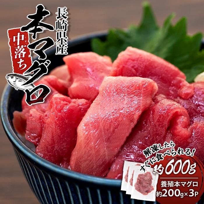 【ふるさと納税】長崎県産　本マグロ中落ち（約600g） | マグロ 鮪 中落 小分け 刺身 養殖 海鮮丼 手巻き寿司 魚介類 海鮮 高級 お取り寄せ グルメ ギフト おつまみ 長崎 まぐろ 送料無料 九州