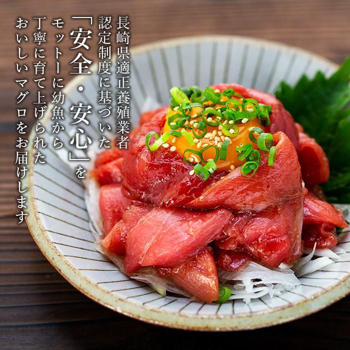 【ふるさと納税】長崎県産　本マグロ中落ち（約600g） | マグロ 鮪 中落 小分け 刺身 養殖 海鮮丼 手巻き寿司 魚介類 海鮮 高級 お取り寄せ グルメ ギフト おつまみ 長崎 まぐろ 送料無料 九州