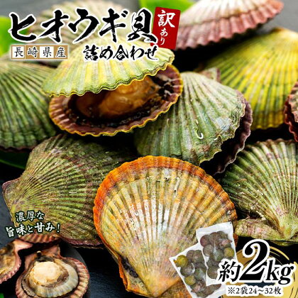 長崎県産 訳あり ヒオウギ貝 約2kg（16～30枚） 詰め合わせ | 訳アリ 規格外 2000g 不揃い 長崎 九州 貝 海鮮 魚介 セット 送料無料 お取り寄せ 人気 おすすめ おつまみ わけあり