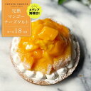 ケーキ(フルーツケーキ)人気ランク27位　口コミ数「0件」評価「0」「【ふるさと納税】【とろっと甘いマンゴーがどっさり】完熟マンゴーチーズタルト【1ホール（18cm）】/ 心優-CotoyuSweets | ケーキ スイーツ 期間限定 洋菓子 長崎県 ホールケーキ マンゴー フルーツタルト 果物 お取り寄せ ギフト 贈答 御中元 送料無料」