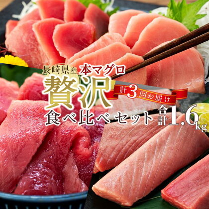 【定期便 全3回】長崎県産 本マグロ 贅沢食べ比べセット 計1.6kg＜2024年4月～6月発送＞ | お楽しみ 期間限定 鮪 まぐろ 鮪 トロ 魚 刺し身 刺身 さしみ 魚介 海鮮 海の幸 養殖 冷凍 生食用 お取り寄せ グルメ 人気 おすすめ 長崎