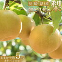 【ふるさと納税】【先行予約】長崎県産 朝どり 旬の梨 おまかせ 約5kg(12玉〜15玉前後) | フルーツ 果物 くだもの 食品 人気 おすすめ 送料無料