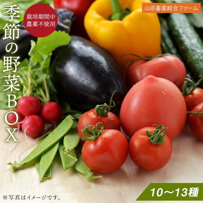 【ふるさと納税】長崎県産　季節野菜 BOX 10～13種 詰