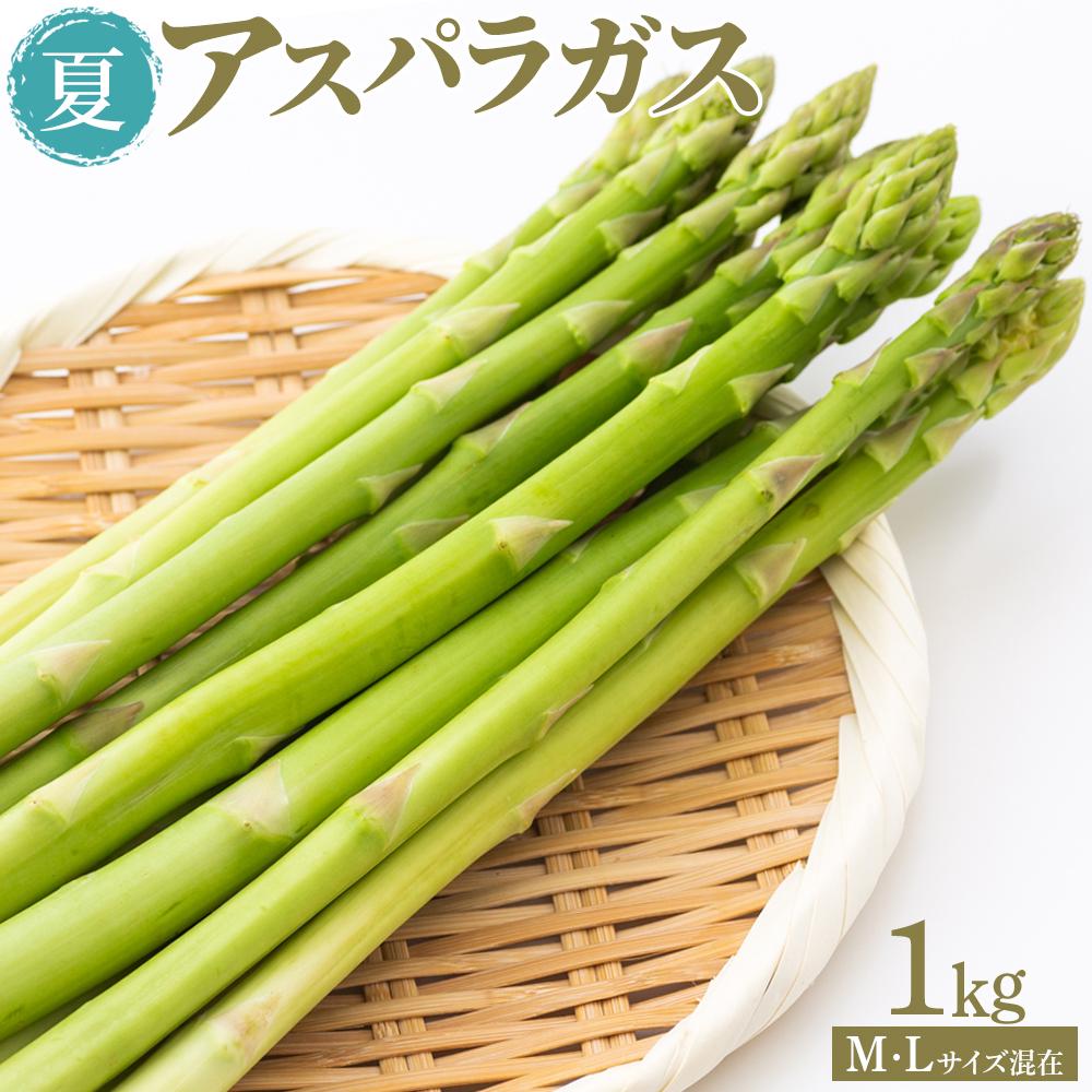 【ふるさと納税】夏アスパラガス 1kg M・Lサイズ混在 2025年6月より順次発送