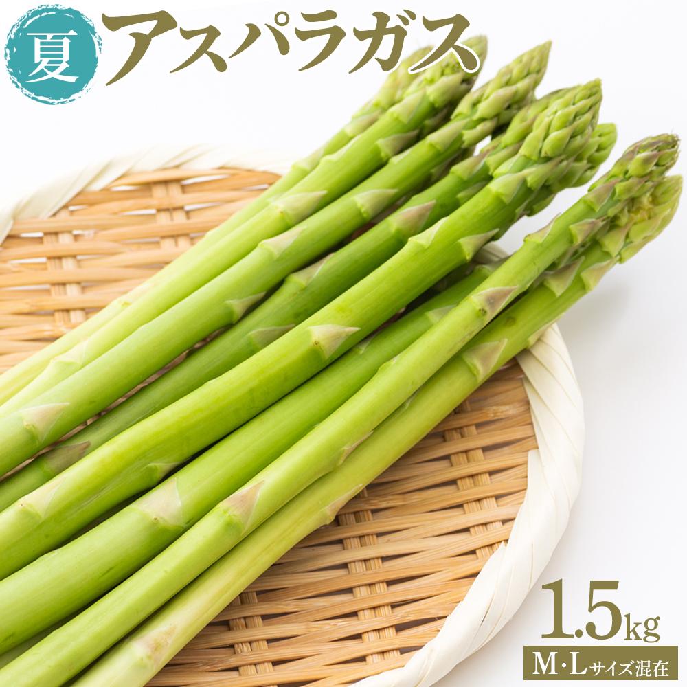 【ふるさと納税】夏アスパラガス 1.5kg M・Lサイズ混在 2025年6月より順次発送
