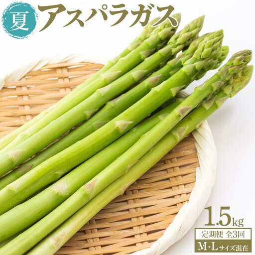 【ふるさと納税】【定期便 全3回】夏アスパラガス 1.5kg M・Lサイズ混在 【ふるさと納税】【定期便 全3回】夏アスパラガス 1.5kg M・Lサイズ混在