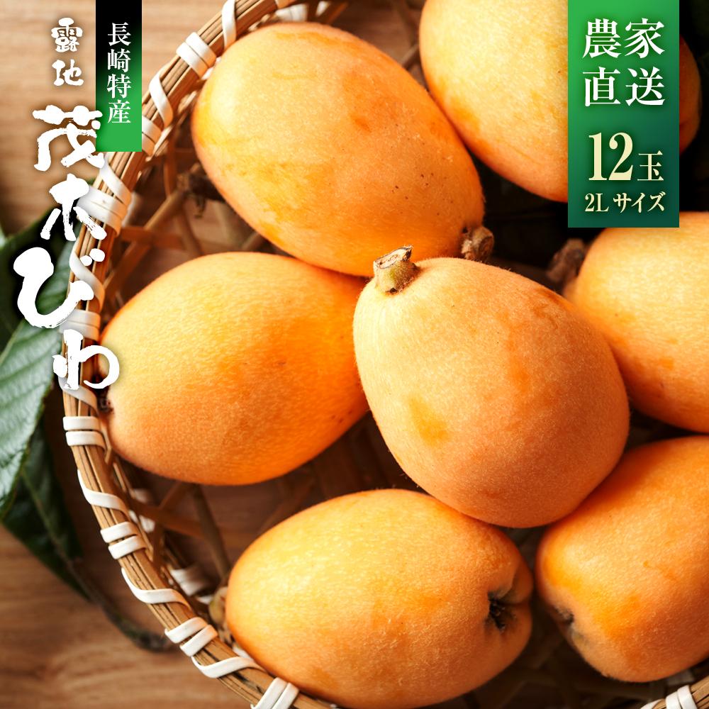 【ふるさと納税】【先行予約】＜長崎特産！農家直送＞露地「茂木びわ」2L×12玉入り | びわ フルーツ ...