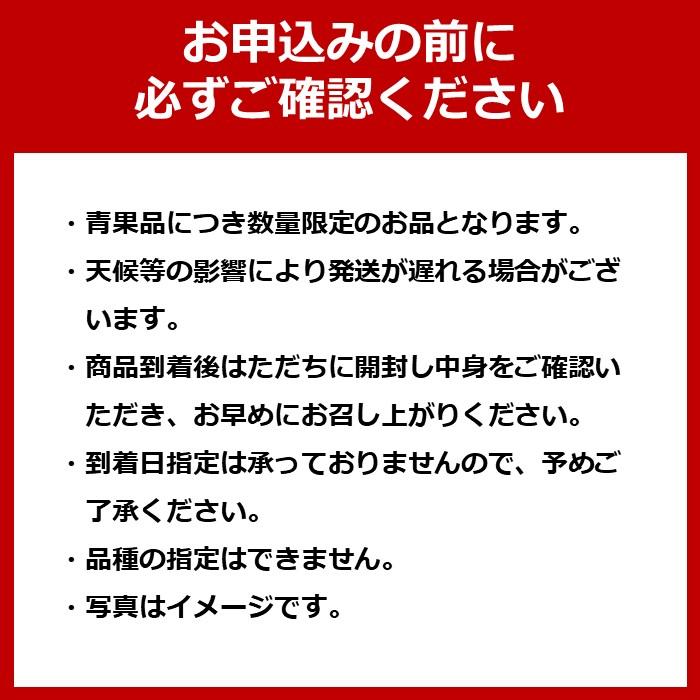 【ふるさと納税】【先行予約】＜長崎特産！農家直送＞露地びわ「なつたより」2L（約55g～65g）×12玉入り | びわ フルーツ 果物 くだもの 12玉 長崎県 長崎 人気 農家直送 特産 旬 甘い お取り寄せ