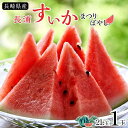 【ふるさと納税】長崎県産　長浦すいか　まつりばやし　2L玉（7kg台）1玉