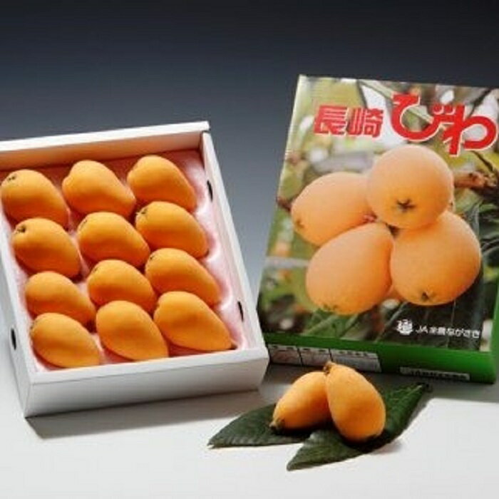 【ふるさと納税】【先行予約 2026年3月下旬より順次発送】長崎ハウスびわ 500g | 長崎 びわ 長崎県 九州 先行受付 数量限定 500g 送料無料 果物 フルーツ お取り寄せ 人気 おすすめ