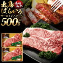【ふるさと納税】長崎和牛「出島ばらいろ」特選霜降 サーロインステーキたっぷり 計約500g 約250g×2枚 A4等級以上 和牛 牛肉 お肉 ステーキソース 塩コショウ 冷凍 長崎県産 国産 九州 長崎県 長崎市 送料無料