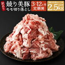 【ふるさと納税】【選べる定期便】【訳あり】長崎県産「競り美豚」モモ 切り落とし 計2.5kg(500g×5パック) 3ヶ月/6ヶ月/12ヶ月 定期便 競美豚 競...