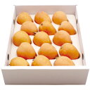 【ふるさと納税】先行予約 茂木 びわ『なつたより』 3Lサイズ 15玉入り | フルーツ 果物 くだもの 枇杷 送料無料【2026年5月下旬~6月上旬迄発送予定】
