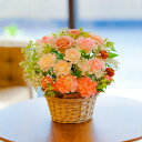 【ふるさと納税】【全12回定期便】 ピンクバラと季節のアレンジメント フラワー 花 桃色 ばら 薔薇 フラワーアレンジメント ラッピング・メッセージカード付き ...