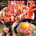 【ふるさと納税】 本マグロ大賞受賞 みやび鮪 たたき ・ 訳あり 切り落とし 端っこちゃん セット 選べる内容量 ( 計約500g / 計約800g / 計約1...