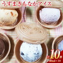 【ふるさと納税】うずまきもなかアイス 10個 最中 アイス ジャージー牛乳 ジェラート チョコ バニラ 枇杷 イチゴ 抹茶 ラムレーズン クッキークリーム ブル...