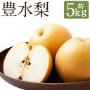【ふるさと納税】豊水梨 約5kg 7〜10玉 梨 なし 和梨 果物 フルーツ 長崎市産 長崎県産 九州産 送料無料 【2025年8月下旬〜9月上旬に順次発送予定...