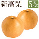 【ふるさと納税】新高梨 約5kg 6~8玉 梨 なし 和梨 果物 フルーツ 長崎市産 長崎県産 九州産 送料無料 【2025年9月上旬~10月上旬に順次発送予定】