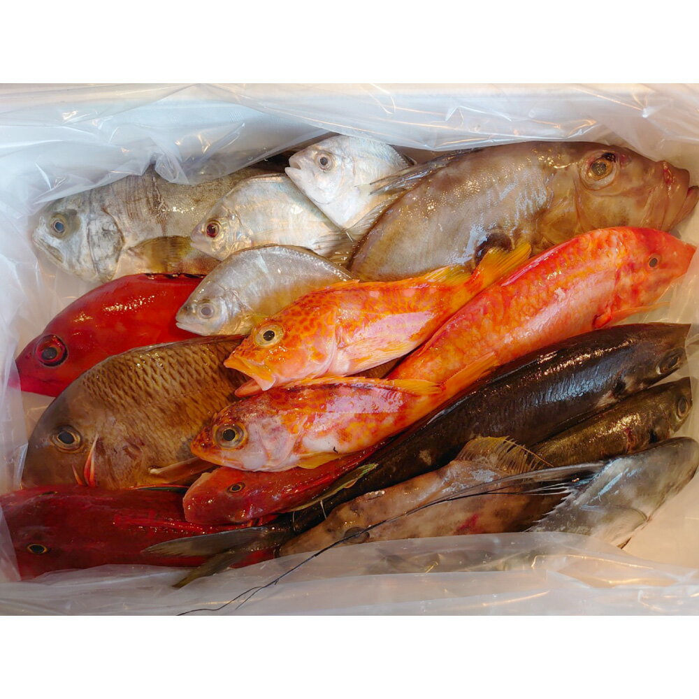 【ふるさと納税】長崎漁港発!長崎近海産鮮魚お試しセット(ミニ) 詰め合わせ 旬 さかな サカナ 魚介類 地魚 鮮魚 水産物 漁港直送 冷蔵 長崎県産 国産 九州...