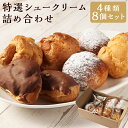 【ふるさと納税】シュークリーム専門店の特選シュークリーム 詰め合わせ 各2個×4種 計8個 シュークリーム エクレア クッキーシュー 生クリーム カスタード スイーツ 洋菓子 デザート 長崎 国産 九州 冷凍 長崎県 長崎市 送料無料