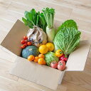 【ふるさと納税】【全12回定期便】 農産物直売所おすすめ! 旬野菜 セット 5~10品目 大根 ニンジン トマト キノコ類 みかん 葡萄 フルーツ くだもの 果...