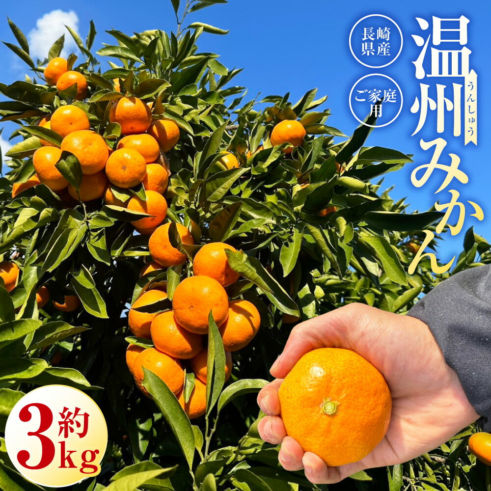 【ふるさと納税】先行予約 長崎県産 温州みかん （ご家庭用） 約3kg | アフター保証 フルーツ 蜜柑 柑橘類 かんきつ くだもの 果物 果実 デザート 国産 九州 長崎県 長崎市 【2026年11月上旬～12月下旬発送予定】