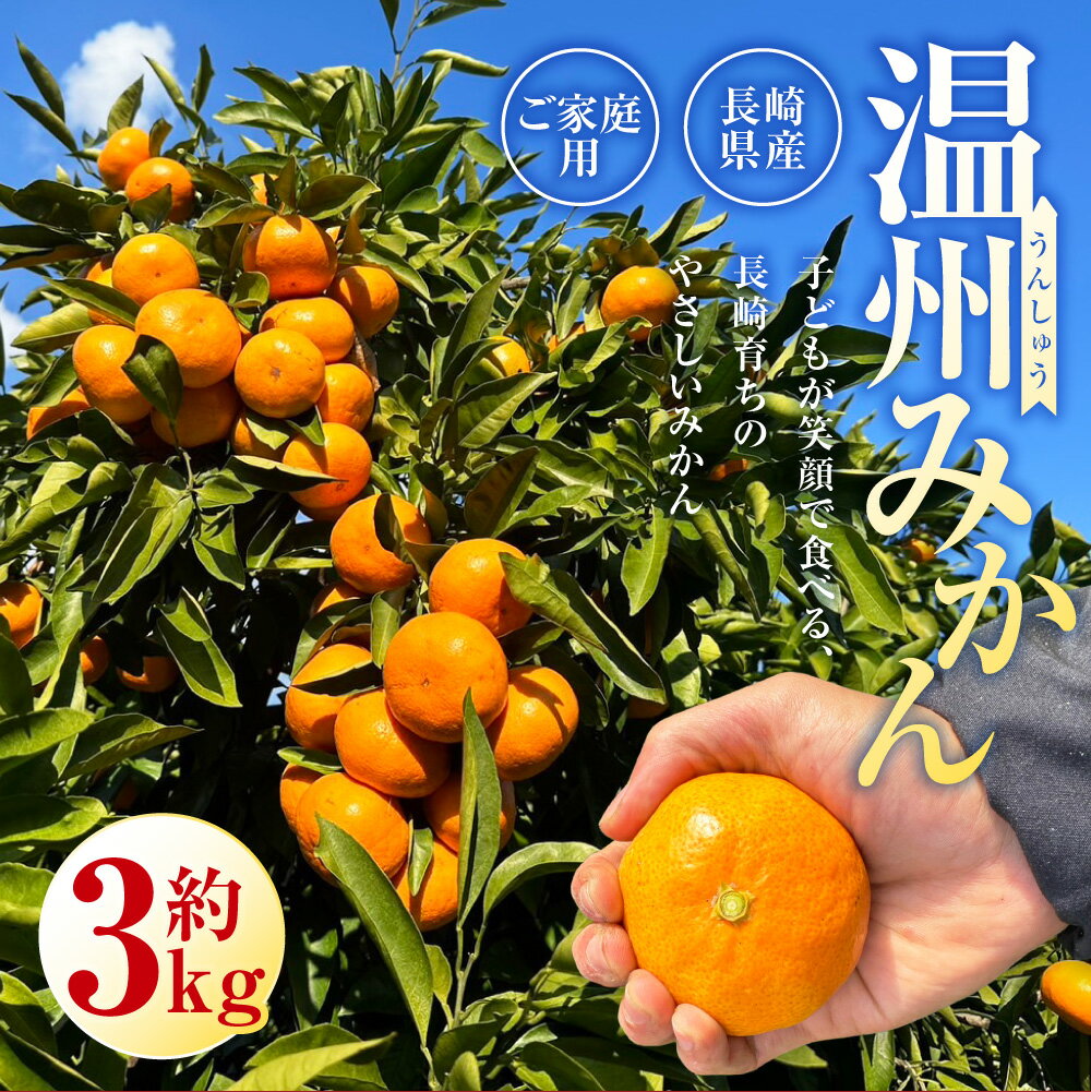 【ふるさと納税】先行予約 長崎県産 温州みかん （ご家庭用） 約3kg | アフター保証 フルーツ 蜜柑 柑橘類 かんきつ くだもの 果物 果実 デザート 国産 九州 長崎県 長崎市 【2026年11月上旬～12月下旬発送予定】