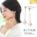 【ふるさと納税】【7営業日以内に発送】あこや真珠 5.5-6.0mm ピアス 1ペア 18金 K18 ゴールド ベビーパール 宝石保証書付 ジュエリーケース付 レディース アクセサリー ジュエリー 長崎県 長崎市 送料無料