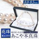 【ふるさと納税】【14営業日以内に発送】花珠 あこや真珠 8.0-8.5mm ネックレス・イヤリングセット ネックレス(長さ42cm) イヤリング(ネジバネ式)...