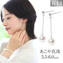 【ふるさと納税】【7営業日以内に発送】あこや真珠 5.5-6.0mm 保証書付 ピアス K14WG ベビーパール 真珠 ジュエリー フォーマル アクセサリー 長崎 国産 九州 長崎県 長崎市 送料無料