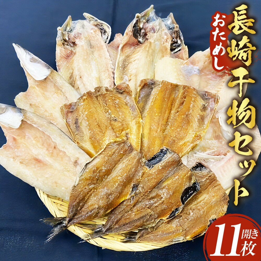 [在庫限り]訳あり 長崎干物セット 5種11枚入 魚 さかな 干物 鯛 たい 鯵 あじ カマス 鰯 いわし 塩干し みりん干し 開き ひもの 詰め合わせ ご家庭用 冷凍 長崎県 長崎市 送料無料