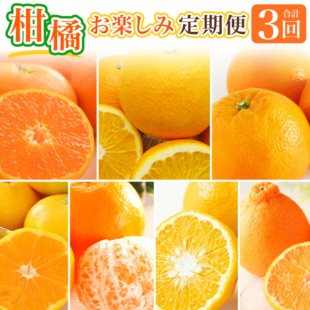 【ふるさと納税】【全3回定期便】春冬限定 柑橘お楽しみ定期便 みかん ポンカン 不知火等 早生みかん 中生みかん 甘夏 八朔 伊予柑 ミカン 蜜柑 果物 くだもの 果実 フルーツ 青果 旬 お取り寄せ 国産 長崎 九州 定期便 送料無料【2025年11月上旬~2026年3月下旬に発送予定】